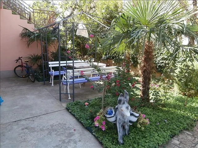 Ajdukovic 2 * ヴォディツェ